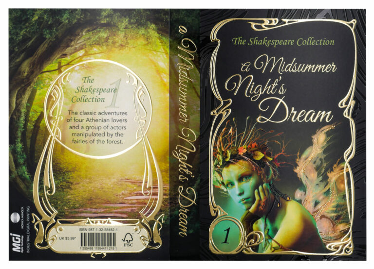 Photo of a book cover with a fairy and a forest decoration - finishing on JETvarnish from MGI