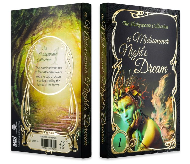 Photo of a book cover with a fairy and a forest decoration - finishing on JETvarnish from MGI